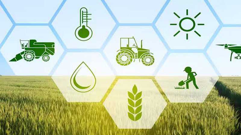 Environmental Protection Campaign